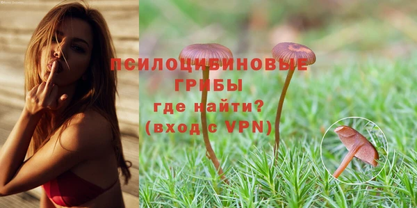дурь Верхний Тагил