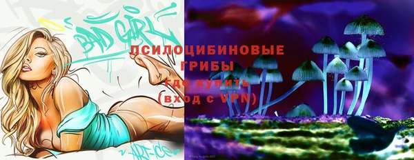 дурь Верхний Тагил