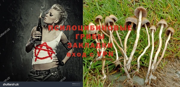 трава Бугульма