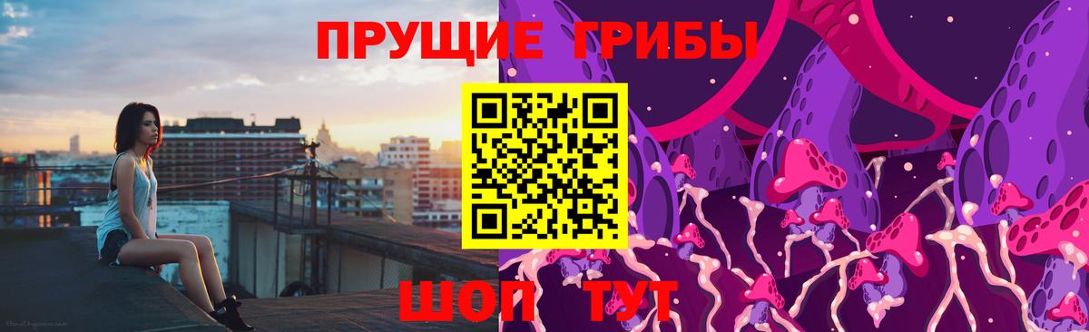 наркотики  Галлюциногенные грибы Psilocybe  Вход с VPN  Выборг 